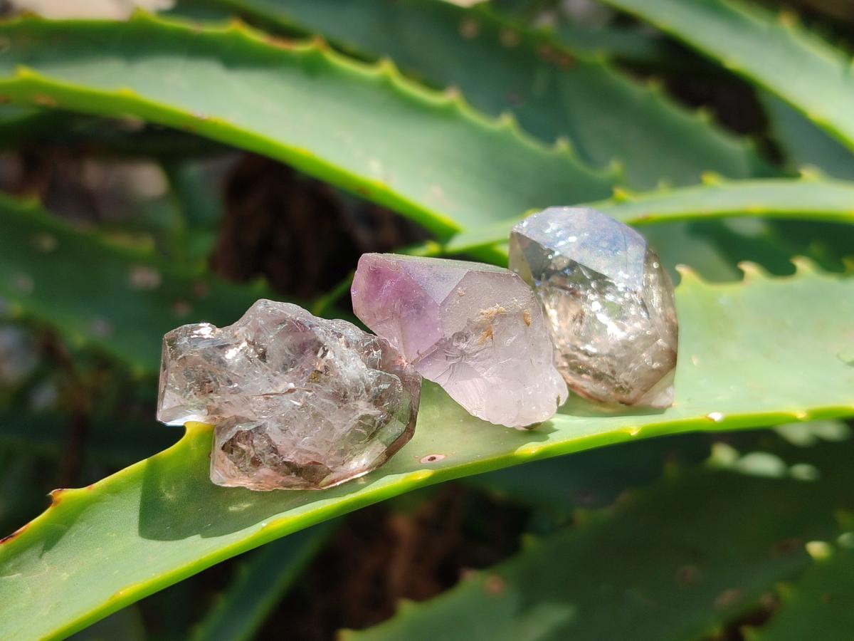 Natural Window Amethyst Crystals x 70 From Chiredzi, Zimbabwe