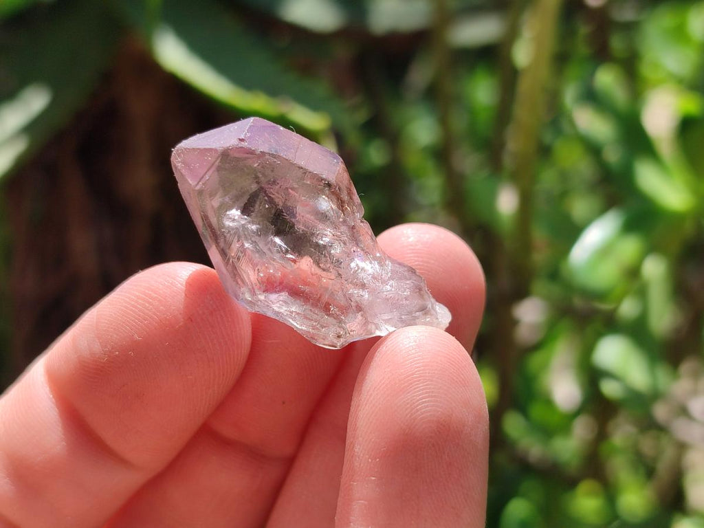 Natural Window Amethyst Crystals x 70 From Chiredzi, Zimbabwe