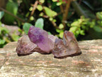 Natural Window Amethyst Crystals x 70 From Chiredzi, Zimbabwe