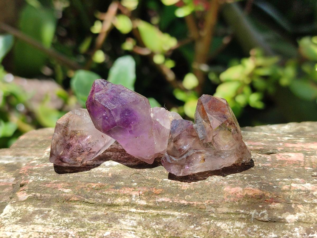Natural Window Amethyst Crystals x 70 From Chiredzi, Zimbabwe