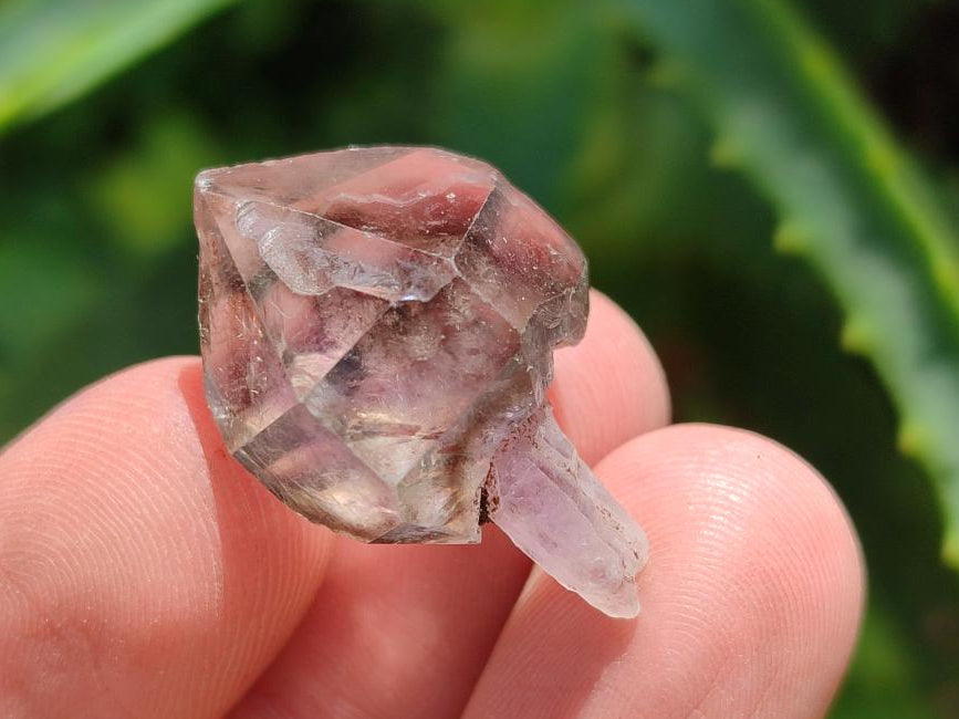 Natural Window Amethyst Crystals x 70 From Chiredzi, Zimbabwe