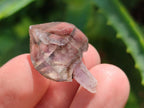 Natural Window Amethyst Crystals x 70 From Chiredzi, Zimbabwe