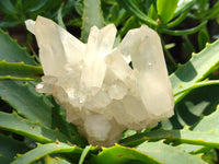 Natural Mixed Quartz Crystal Clusters x 6 From Madagascar