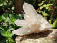 Natural Mixed Quartz Crystal Clusters x 6 From Madagascar