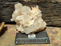 Natural Mixed Quartz Crystal Clusters x 6 From Madagascar