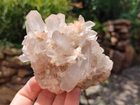Natural Mixed Quartz Crystal Clusters x 6 From Madagascar