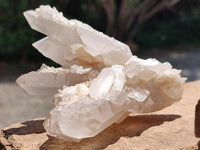 Natural Mixed Quartz Crystal Clusters x 6 From Madagascar