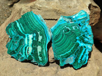Polished Malacolla Slices x 3 From Kulukuluku, Congo