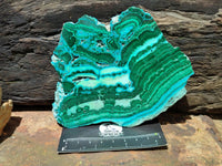 Polished Malacolla Slices x 3 From Kulukuluku, Congo