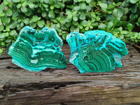 Polished Malacolla Slices x 3 From Kulukuluku, Congo