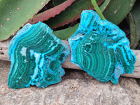 Polished Malacolla Slices x 3 From Kulukuluku, Congo