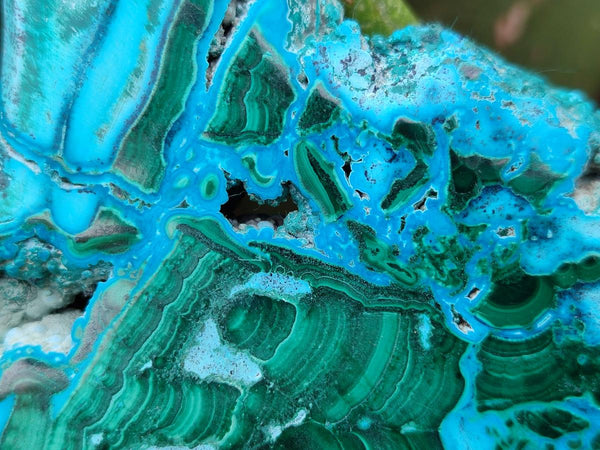 Polished Malacolla Slices x 3 From Kulukuluku, Congo