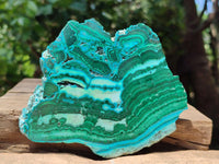 Polished Malacolla Slices x 3 From Kulukuluku, Congo