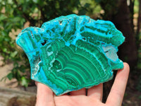 Polished Malacolla Slices x 3 From Kulukuluku, Congo