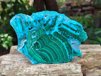 Polished Malacolla Slices x 3 From Kulukuluku, Congo