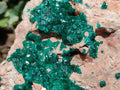 Natural Dioptase On Dolomite Specimen x 1 From Likasi, Congo