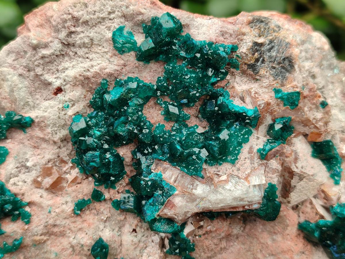 Natural Dioptase On Dolomite Specimen x 1 From Likasi, Congo