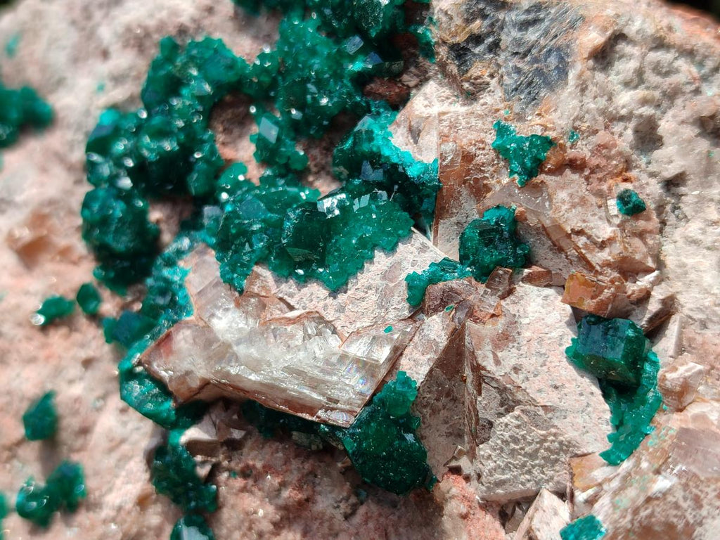 Natural Dioptase On Dolomite Specimen x 1 From Likasi, Congo