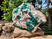 Natural Dioptase On Dolomite Specimen x 1 From Likasi, Congo