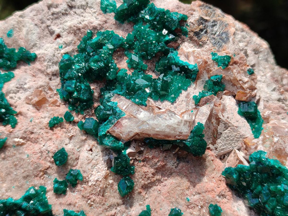 Natural Dioptase On Dolomite Specimen x 1 From Likasi, Congo
