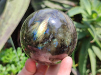 Polished Labradorite Spheres x 2 From Tulear, Madagascar