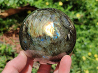 Polished Labradorite Spheres x 2 From Tulear, Madagascar