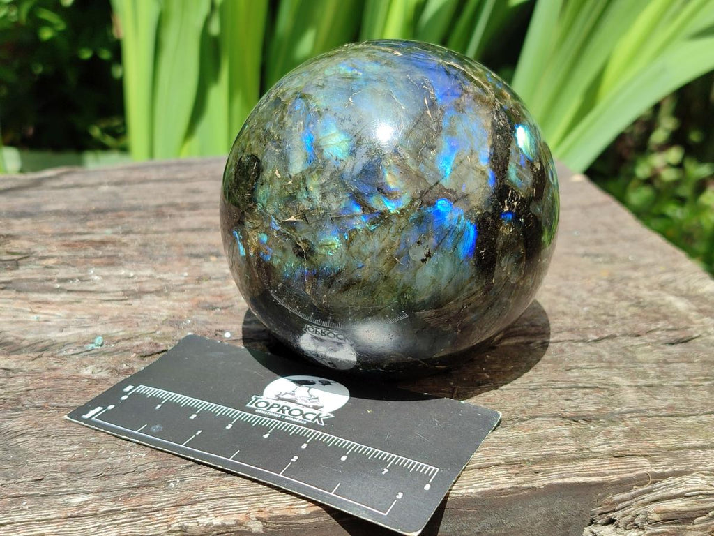 Polished Labradorite Spheres x 2 From Tulear, Madagascar