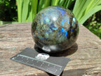 Polished Labradorite Spheres x 2 From Tulear, Madagascar