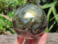 Polished Labradorite Spheres x 2 From Tulear, Madagascar
