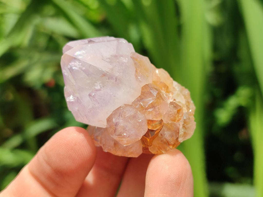 Sunburst Rocks Natural Sunburst Amethyst Spirit Crystals x 20 From Boekenhouthoek, So ...