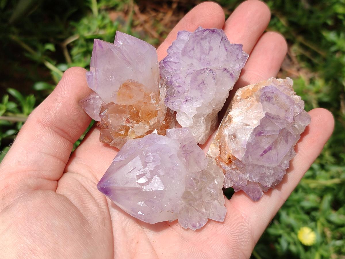 Natural Sunburst Amethyst Spirit Crystals x 20 From Boekenhouthoek, South Africa