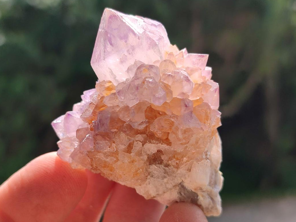 Natural Sunburst Amethyst Spirit Crystals x 20 From Boekenhouthoek, South Africa
