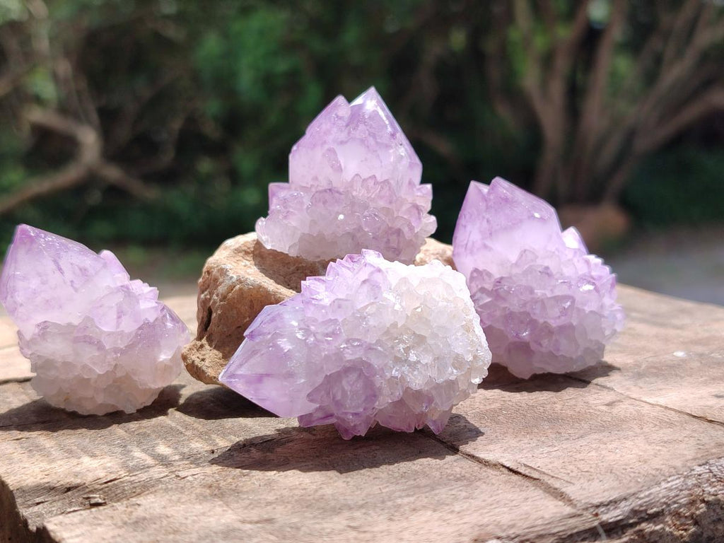Natural Sunburst Amethyst Spirit Crystals x 20 From Boekenhouthoek, South Africa