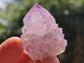 Natural Sunburst Amethyst Spirit Crystals x 20 From Boekenhouthoek, South Africa