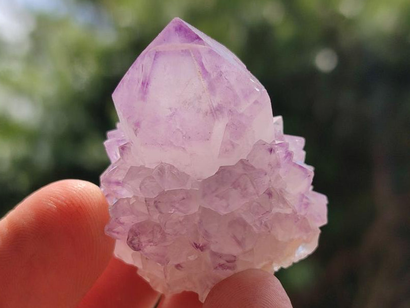 Natural Sunburst Amethyst Spirit Crystals x 20 From Boekenhouthoek, South Africa