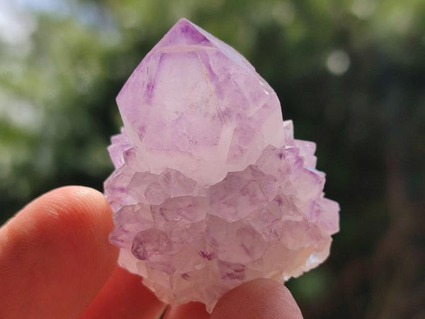 Natural Sunburst Amethyst Spirit Crystals x 20 From Boekenhouthoek, South Africa