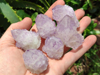 Natural Sunburst Amethyst Spirit Crystals x 20 From Boekenhouthoek, South Africa