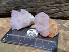 Natural Sunburst Amethyst Spirit Crystals x 20 From Boekenhouthoek, South Africa