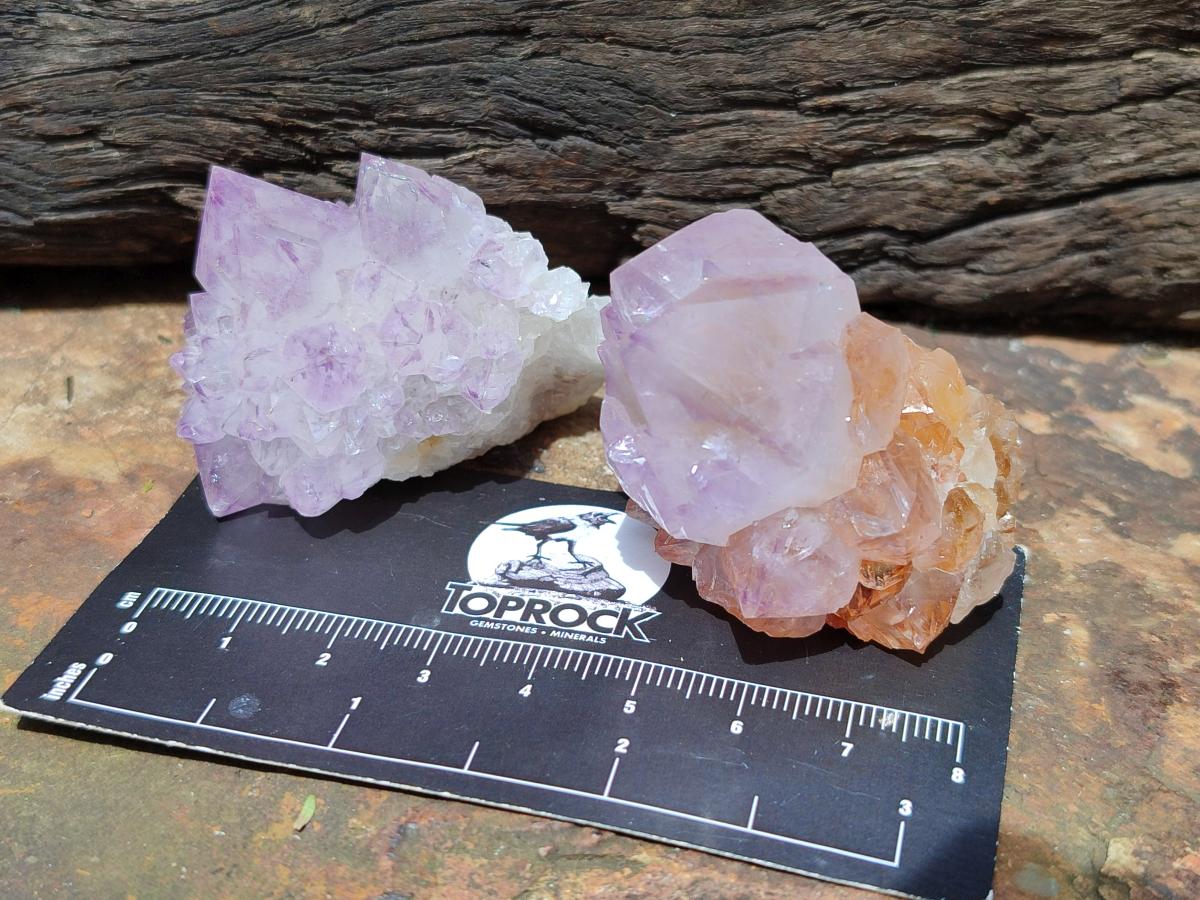 Natural Sunburst Amethyst Spirit Crystals x 20 From Boekenhouthoek, South Africa