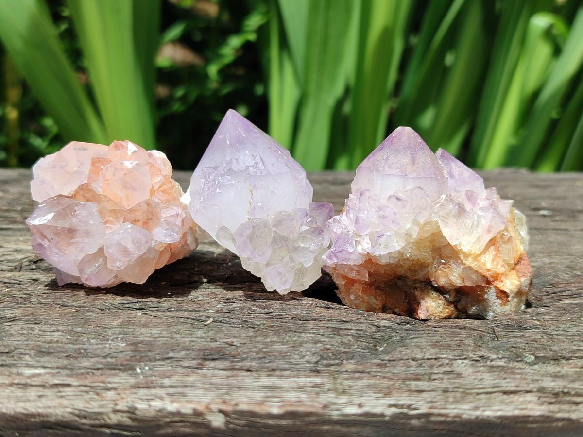 Natural Sunburst Amethyst Spirit Crystals x 20 From Boekenhouthoek, South Africa