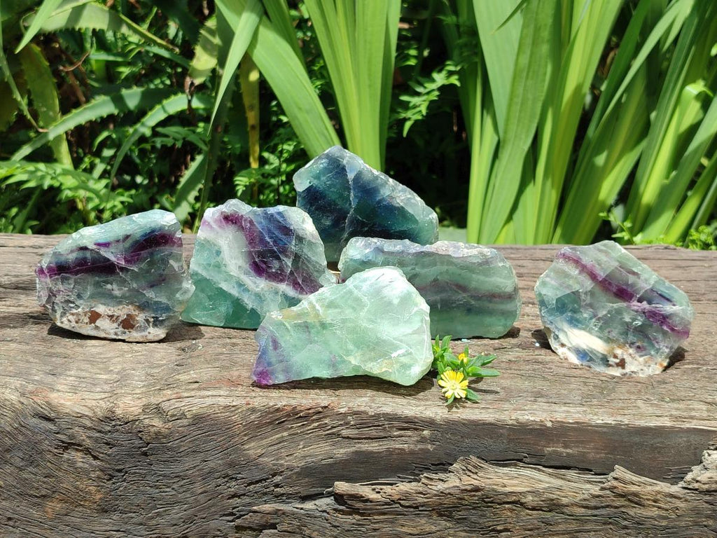 Polished On One Side Watermelon Fluorite Slices x 6 From Uis, Namibia