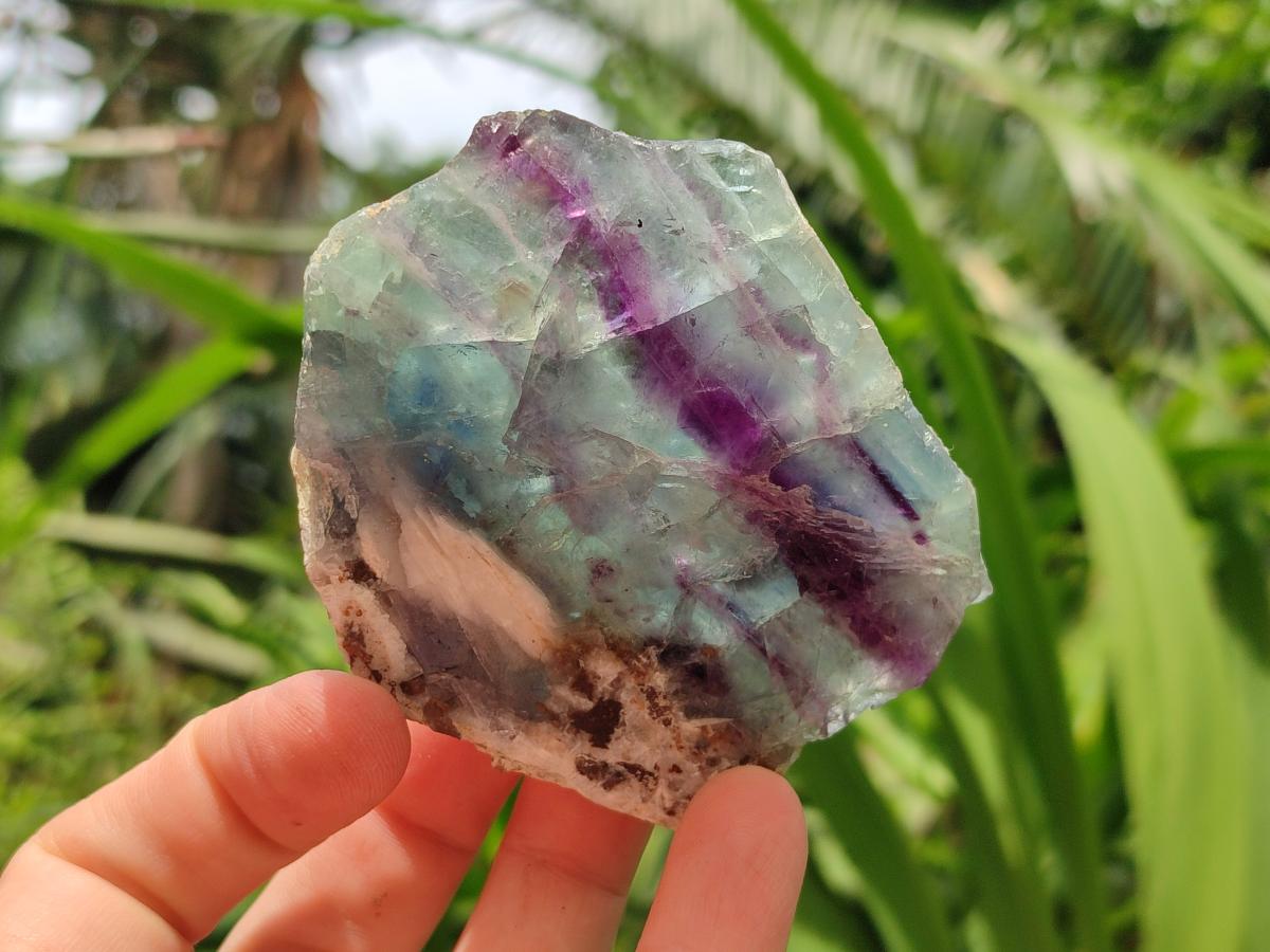 Polished On One Side Watermelon Fluorite Slices x 6 From Uis, Namibia