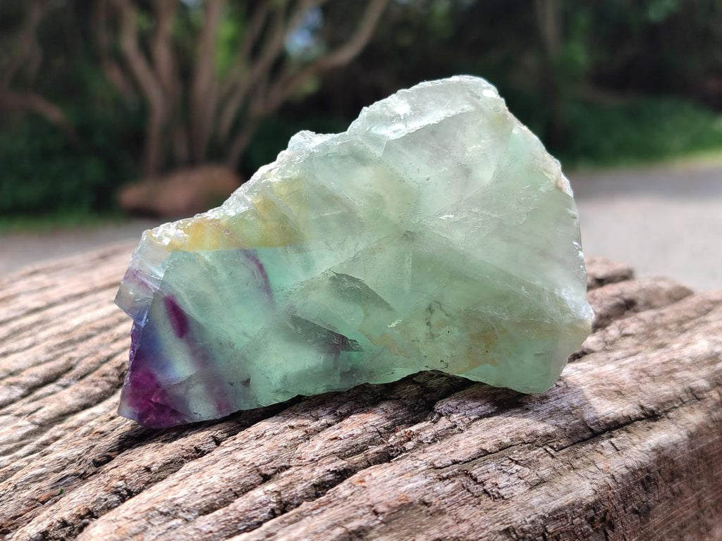 Polished On One Side Watermelon Fluorite Slices x 6 From Uis, Namibia