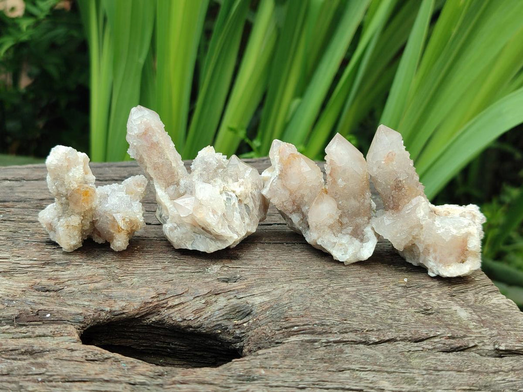 Natural Limonite Fairy Spirit Quartz Clusters x 35 From Boekenhouthoek, South Africa