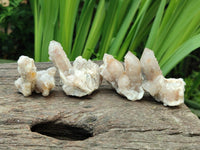 Natural Limonite Fairy Spirit Quartz Clusters x 35 From Boekenhouthoek, South Africa