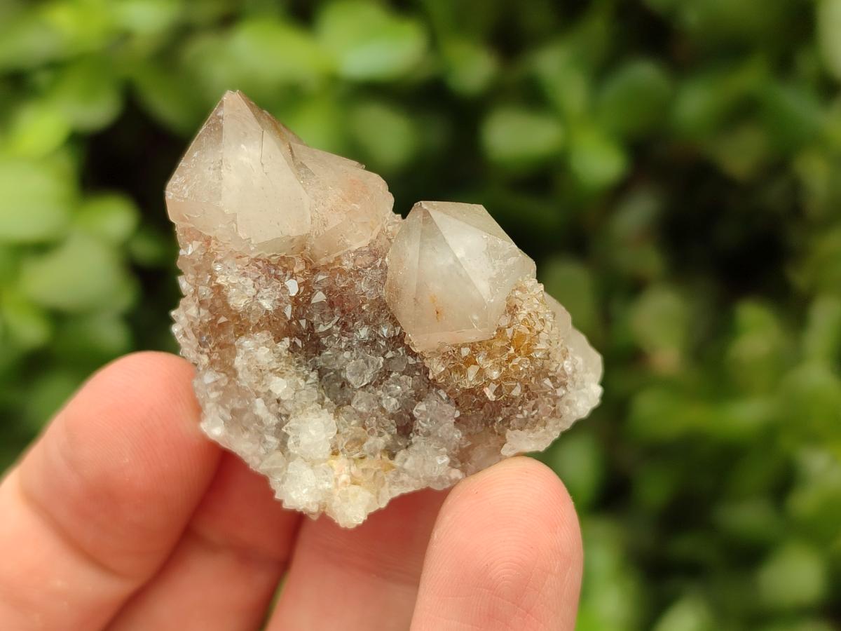Natural Limonite Fairy Spirit Quartz Clusters x 35 From Boekenhouthoek, South Africa