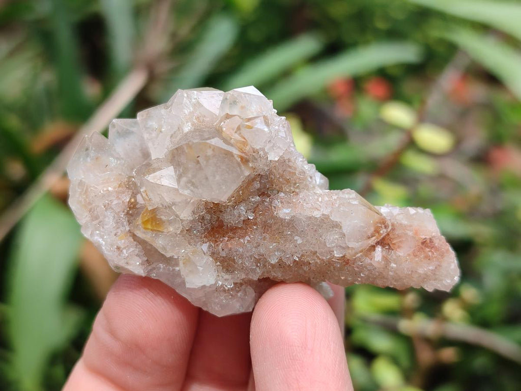 Natural Limonite Fairy Spirit Quartz Clusters x 35 From Boekenhouthoek, South Africa