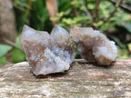 Natural Limonite Fairy Spirit Quartz Clusters x 35 From Boekenhouthoek, South Africa
