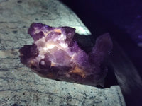 Natural Limonite Fairy Spirit Quartz Clusters x 35 From Boekenhouthoek, South Africa