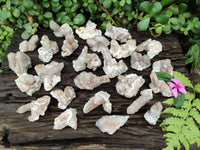 Natural Limonite Fairy Spirit Quartz Clusters x 35 From Boekenhouthoek, South Africa